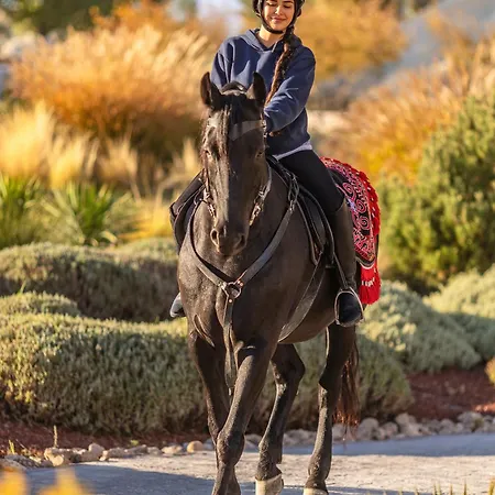 Ajwa Cappadocia - Preferred Legend Collection Mustafapaşa