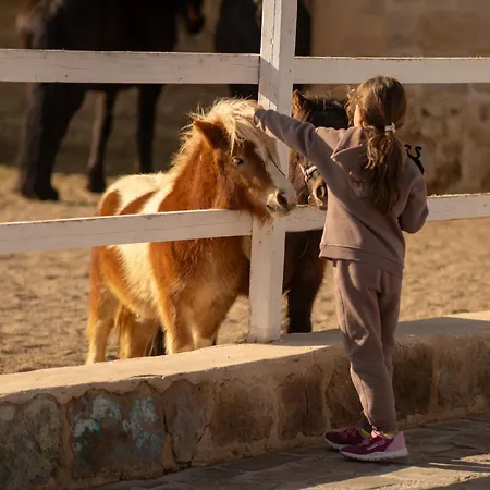 Ajwa Cappadocia - Preferred Legend Collection