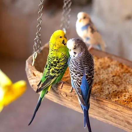 Ajwa Cappadocia - Preferred Legend Collection 5*