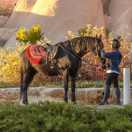 فندق Ajwa Cappadocia - Preferred Legend Collection Mustafapaşa