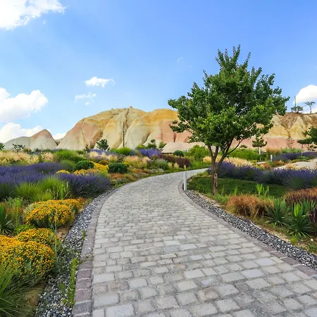 Ajwa Cappadocia - Preferred Legend Collection