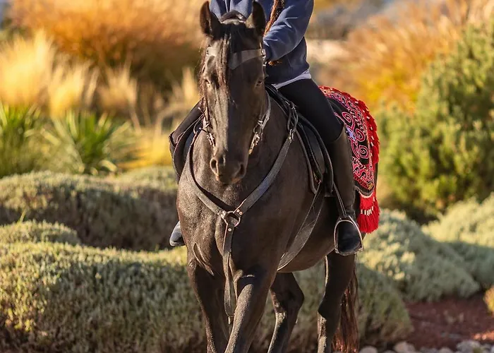 Ajwa Cappadocia - Preferred Legend Collection Mustafapaşa