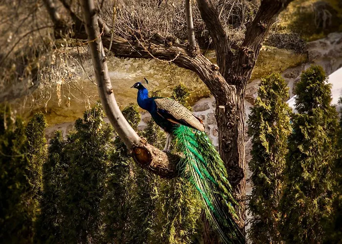 Ajwa Cappadocia - Preferred Legend Collection 5* Mustafapaşa