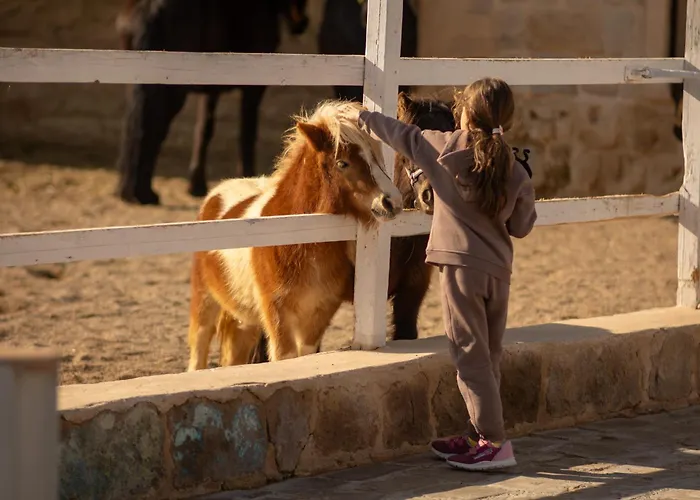 Ajwa Cappadocia - Preferred Legend Collection