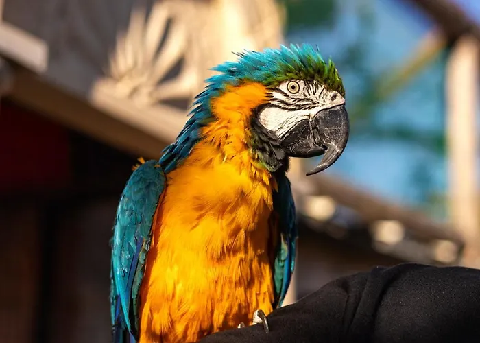 Hotel Ajwa Cappadocia - Preferred Legend Collection