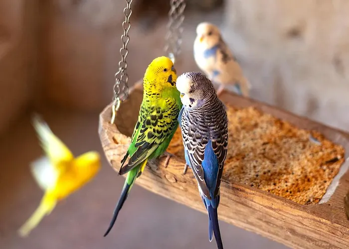 Ajwa Cappadocia - Preferred Legend Collection 5*